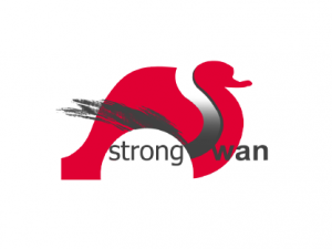 StrongSwan